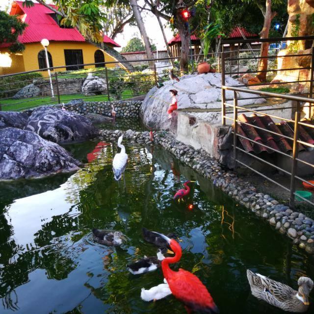 Finca Villa Alegria 基奥塔 外观 照片