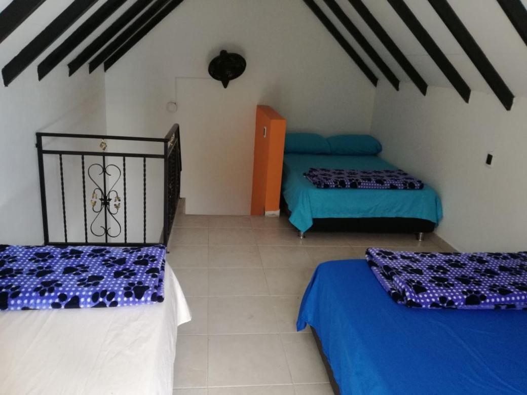 Finca Villa Alegria 基奥塔 外观 照片